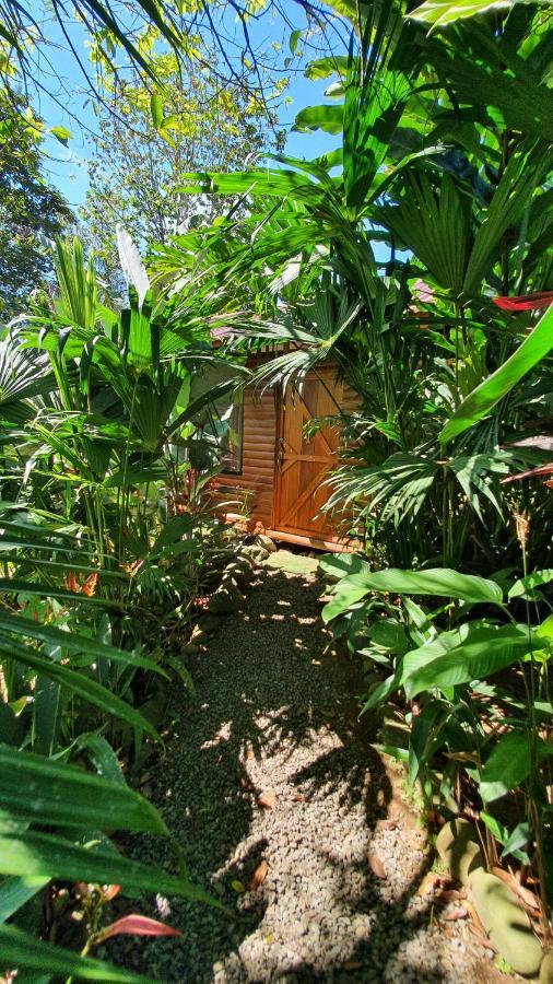 Arenal Rustic Lodge Alajuela Exterior foto