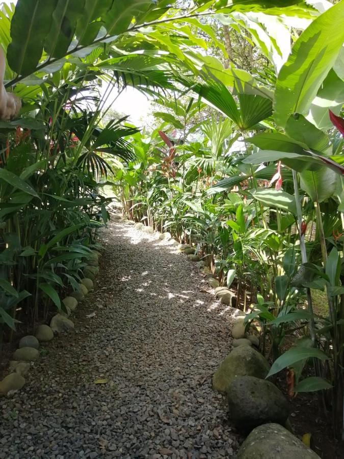 Arenal Rustic Lodge Alajuela Exterior foto